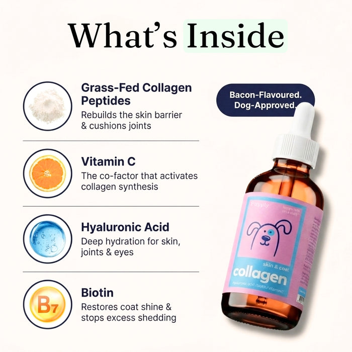 Grass Fed Collagen Drops