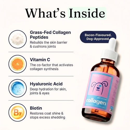 Grass Fed Collagen Drops