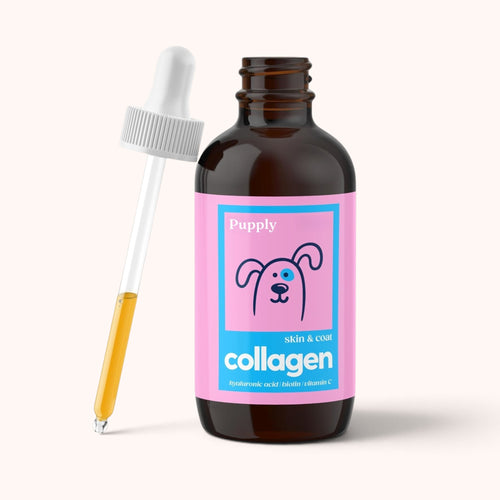 Grass Fed Collagen Drops